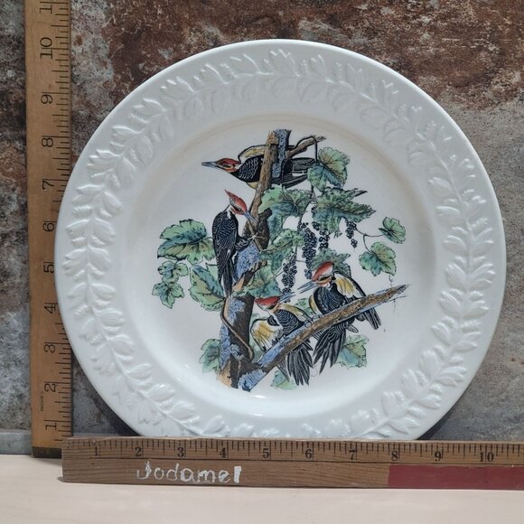 Vintage Adams England Audubon Birds of America Pileated Woodpecker Decorative Pl - Picture 7 of 11
